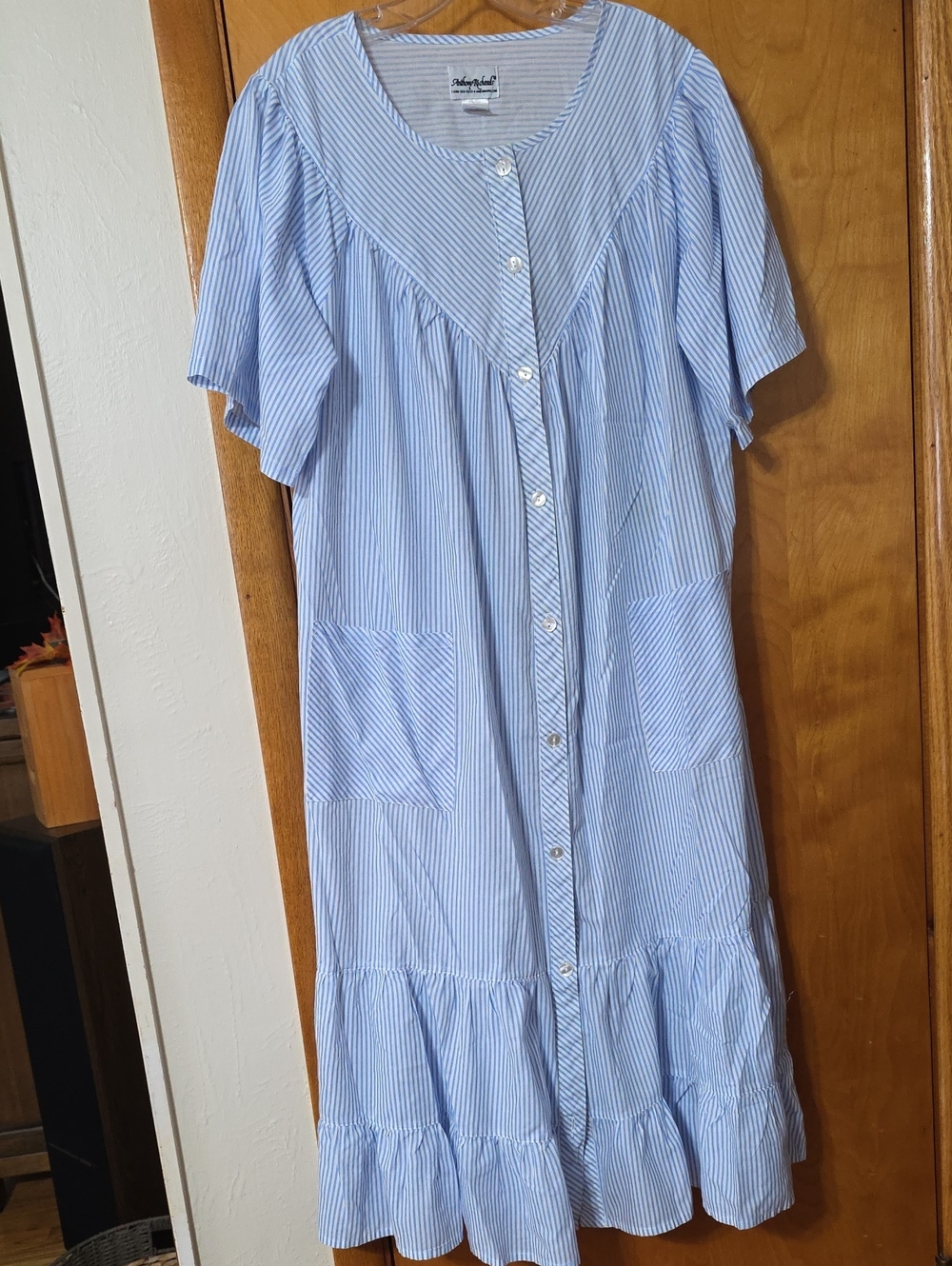 Amthony Richarfs Housedress. Light Blue Striped Button-Front Dress
